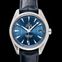Omega Seamaster 231.13.42.21.03.001