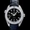 Omega Seamaster 232.18.38.20.01.001