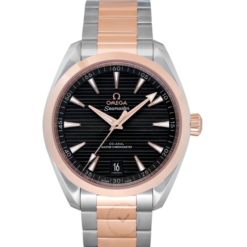 Omega Seamaster 220.20.41.21.06.001